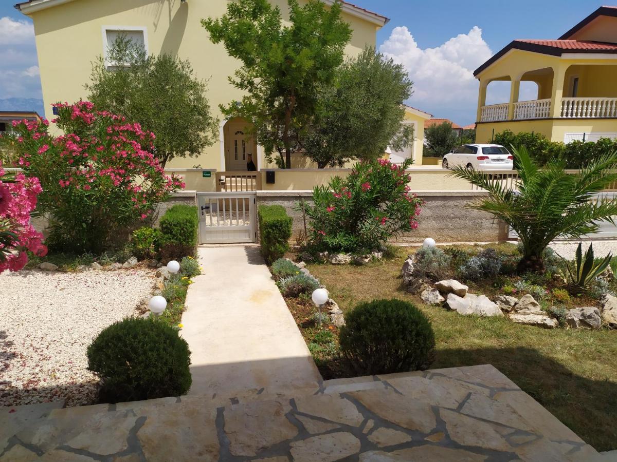 Apartmani Vjeko Vir Exterior foto